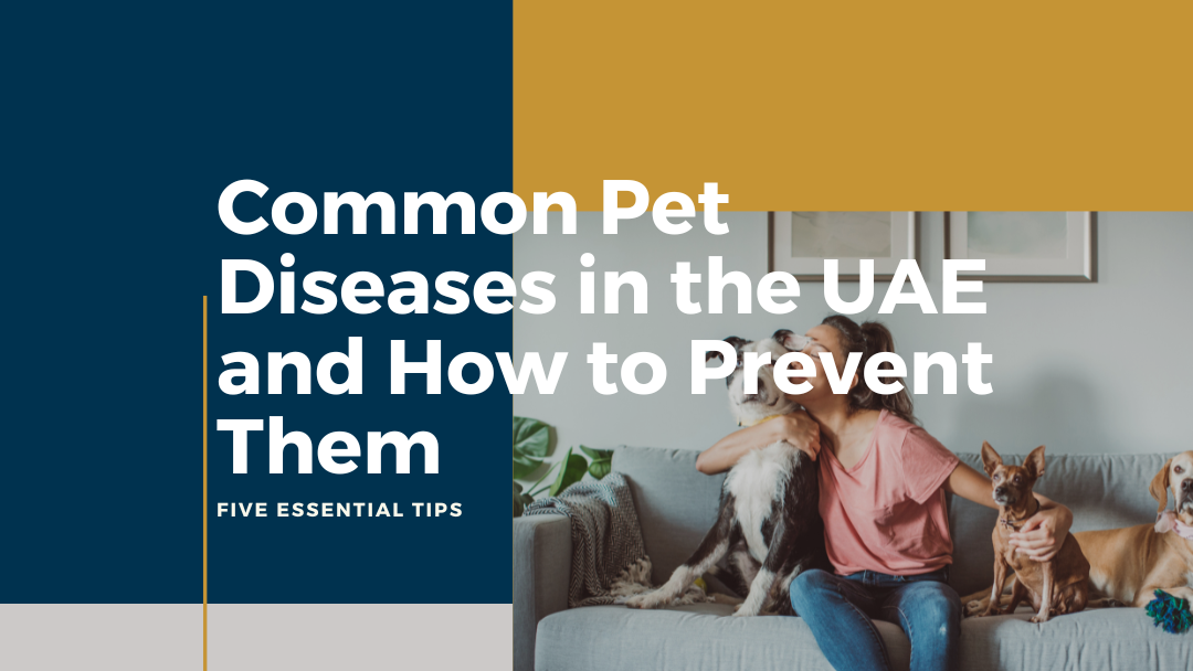 Common Pet Diseases in the UAE and How to Prevent Them