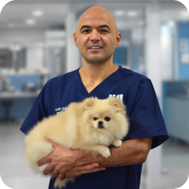 Dr. Azat 