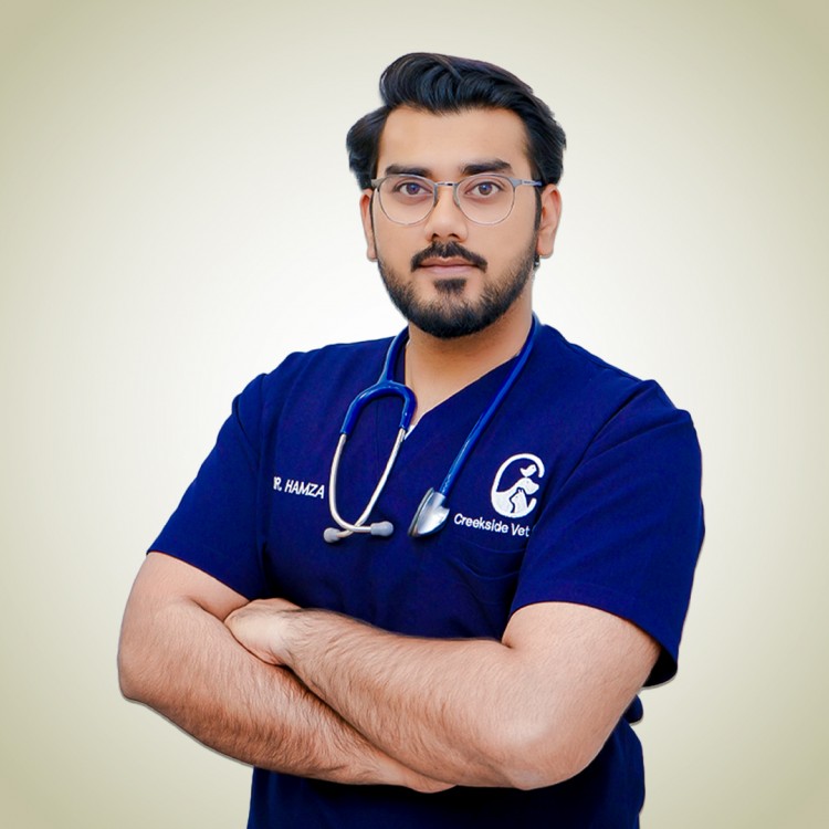 Dr. Hamza