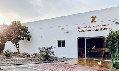 Zabeel