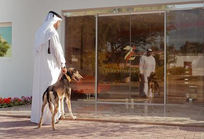 Zabeel