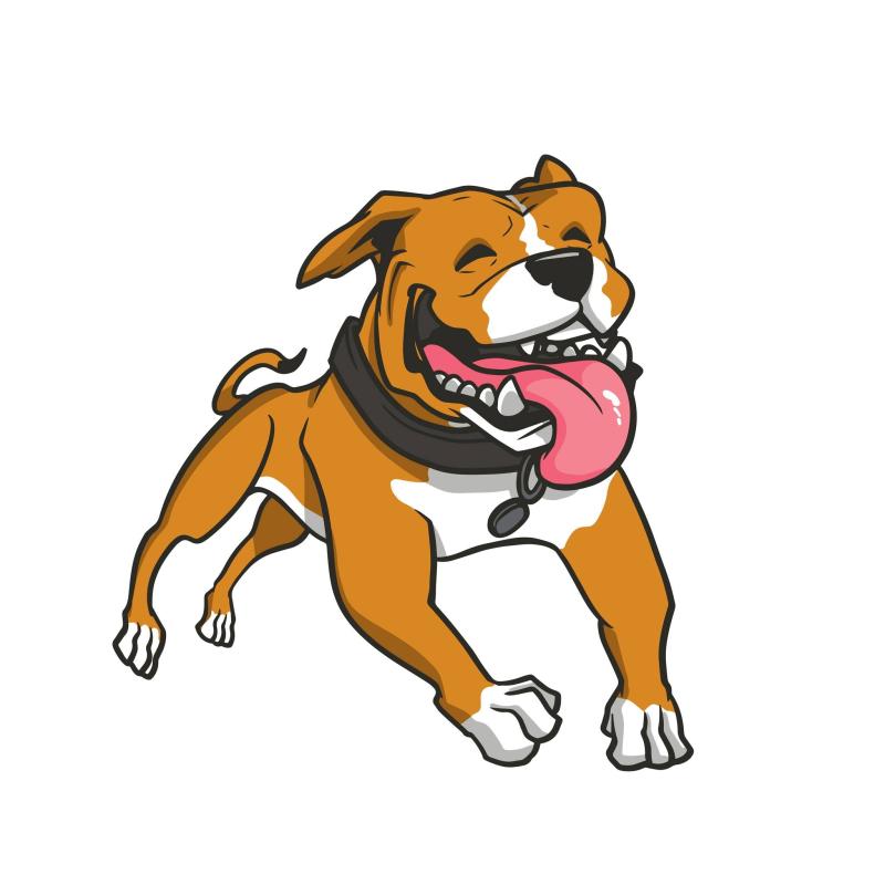 Everything Dog & School of Woof