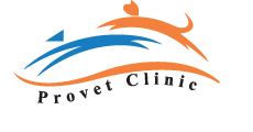 Provet Veterinary Clinic
