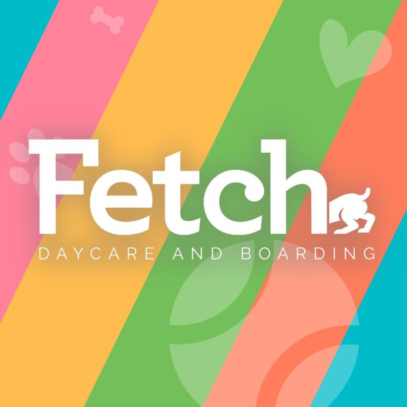 Fetch Dubai Daycare And Boarding