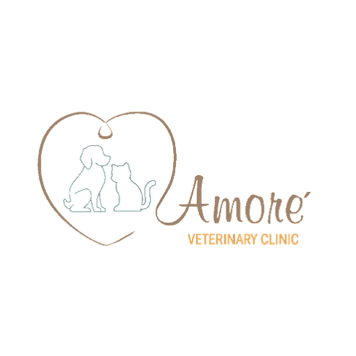 Amore Veterinary Clinic
