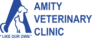 Amity Veterinary Clinic