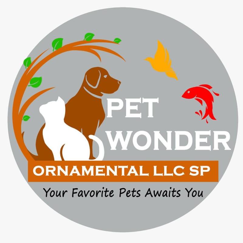 Pet Wonder Ornamental L.L.C