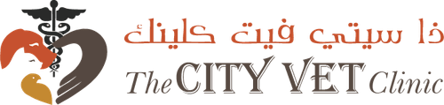 The City Vet Clinic - Al Ain