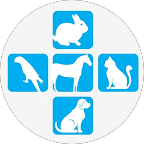 Pets 'n Us Veterinary Clinic