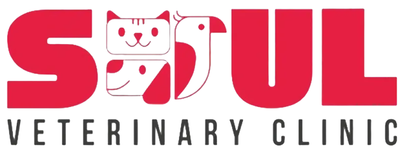 Soul Veterinary Clinic