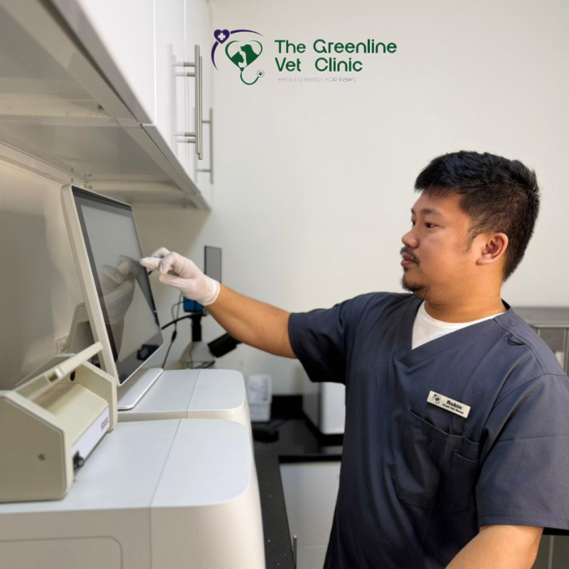In-clinic lab testing helps us get faster answers for better treatment decisions. 🔬
