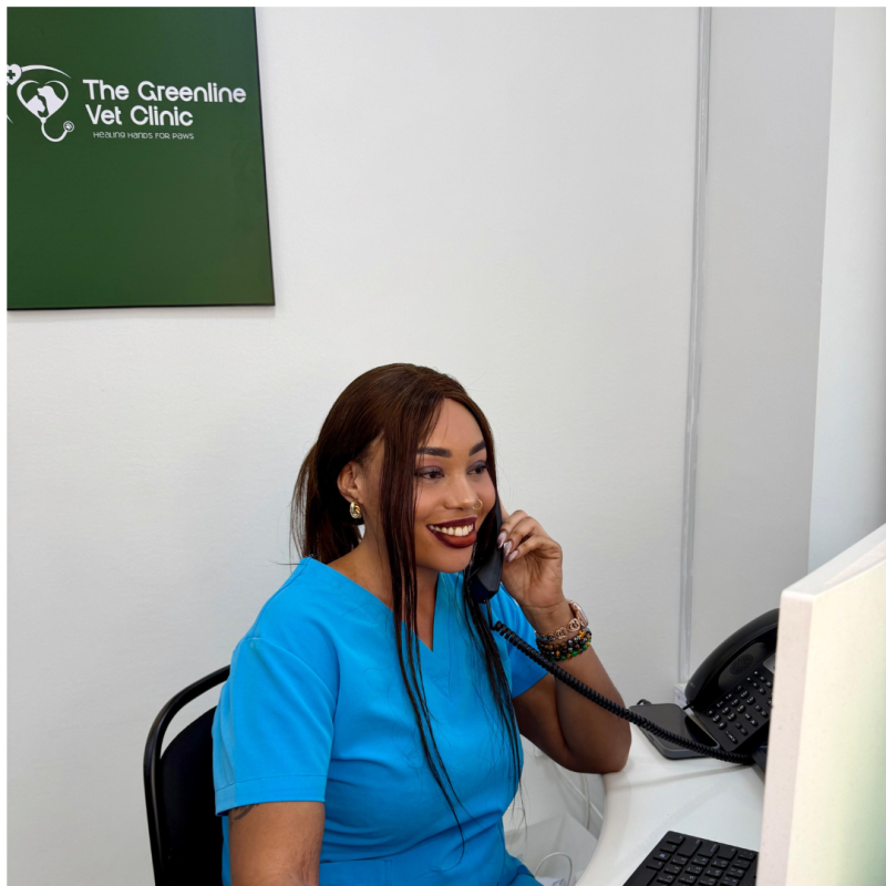 From booking appointments to guiding your visit, our reception team is here to make every step easier for you and your pet. 🐾📞