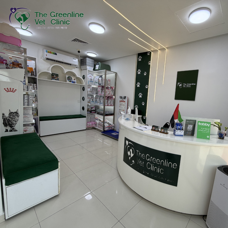 A calm and comfortable space for your pet’s visit, from check-in to care. 💚
