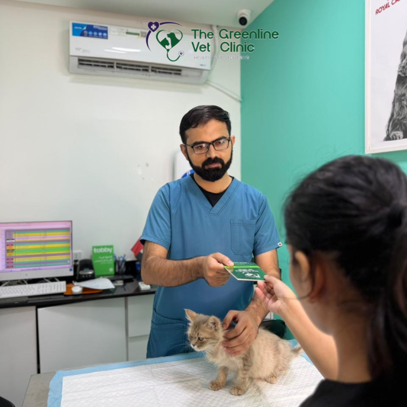 Every consultation starts with listening, checking, and explaining clearly. 🐱🩺