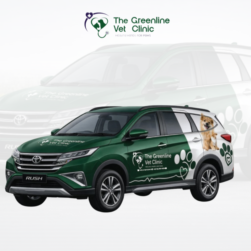 Veterinary care made easier with Greenline’s home visit, pet pickup, and drop-off support for a smoother clinic experience. 🚗🐾