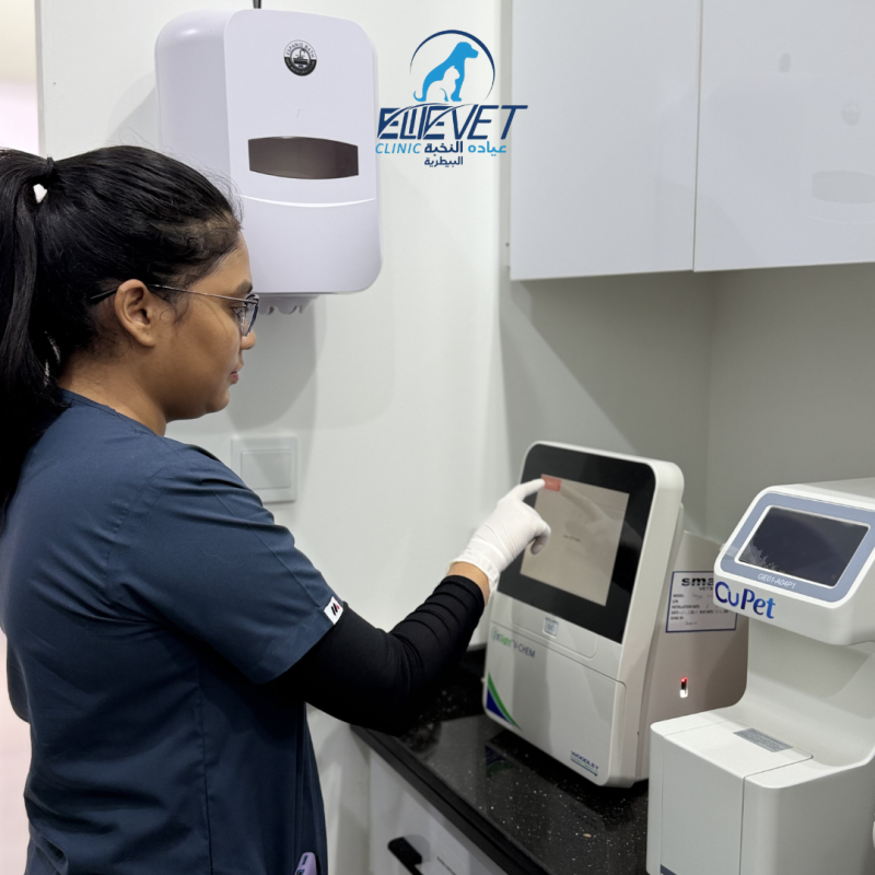 Modern diagnostic equipment for accurate care.