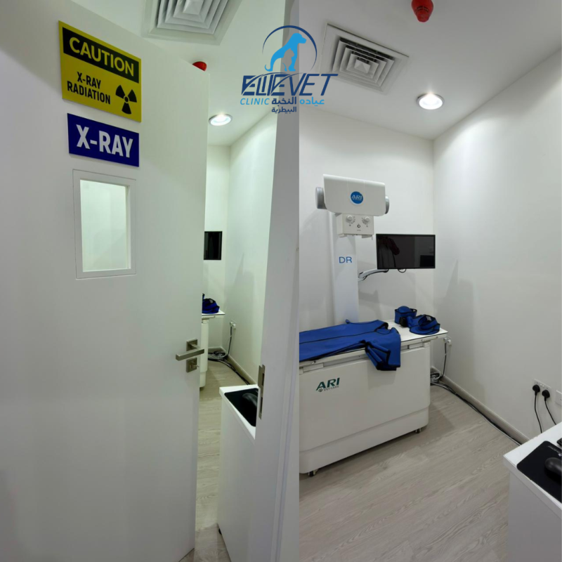 Clean clinic facilities for better pet care.