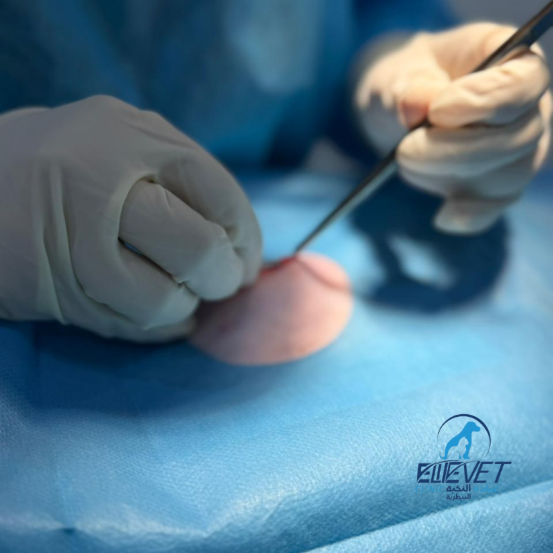 Safe surgical care with proper preparation and monitoring.