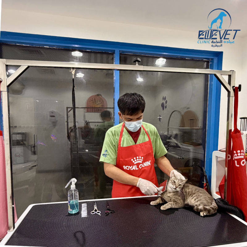 Gentle grooming care for your pet.