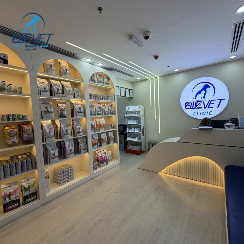 Reception and pet care products area.