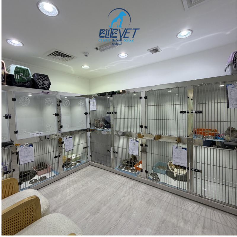 Safe and organized pet boarding space.