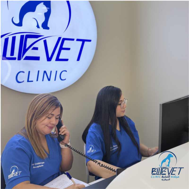 Friendly reception team ready to assist you.